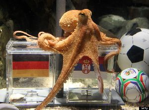 Китайский гороскоп совместимости
